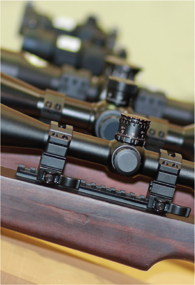 Showroom Rifles