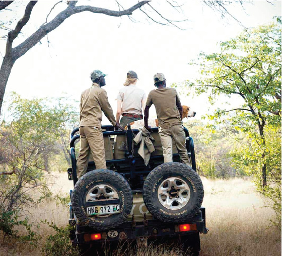 Hunting Firearms